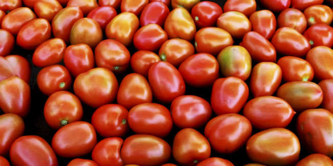 tomates_fondo4