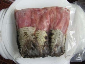 La carne de cocodrilo la traen de Florida, aunque también hay criaderos en el sureste del país. // Foto: Especial.