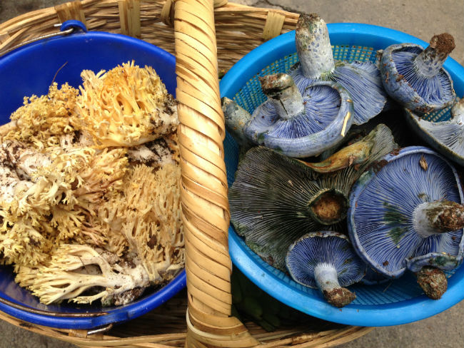 Además de ricos almuerzos, en el mercado podrás encontrar delicias locales para llevar a casa y prepararlas. // Foto: Animal Gourmet.