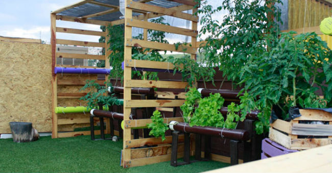 La cocina de Raíz es de estaciones y sólo preparan lo que cosechan en su huerto en el roof garden. // Foto: www.raiz.com