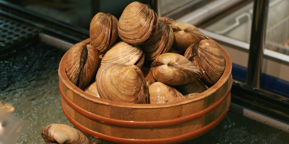 almejas, qué es la veda