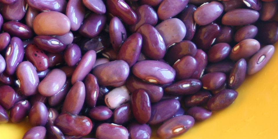 ingredientes desaparición