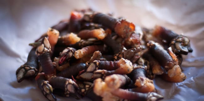 La forma más popular de cociner los percebes es hervirlos en agua con sal; si es de mar, ¡mejor! // Foto: Especial.