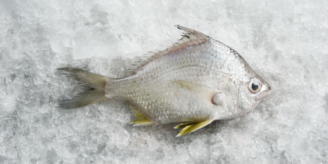 Si hay algún pescado al que el horno le haga justicia es la mojarra. // Foto: Cortesía Comepesca.