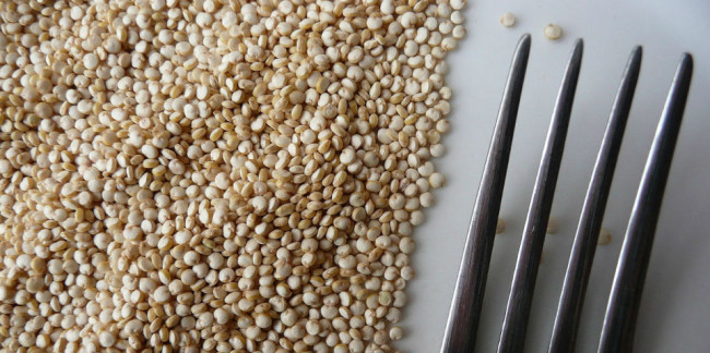 quinoa