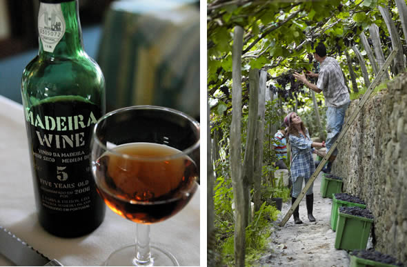 Derecha: Época de vendimia, que debido a la complicada orografía debe ser realizada de manera manual. Izquierda: Tonalidad típica de los vinos de Madeira.