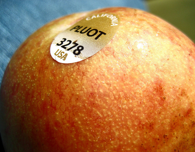 Ciruela + Albaricoque = Pluot. // Foto: Erin Pettigrew (Creative Commons).