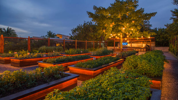 En el huerto de la cocina se cultivan una gran variedad de hierbas de olor y hortalizas. // Foto: Rosewood Mayakoba.