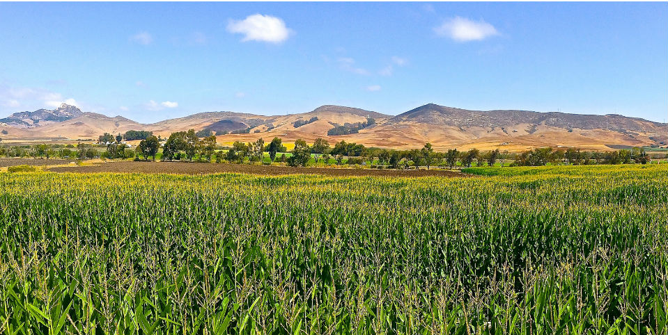 goula awards conciencia ambiental tips para hacer cocina sustentable Yuri de Gortari