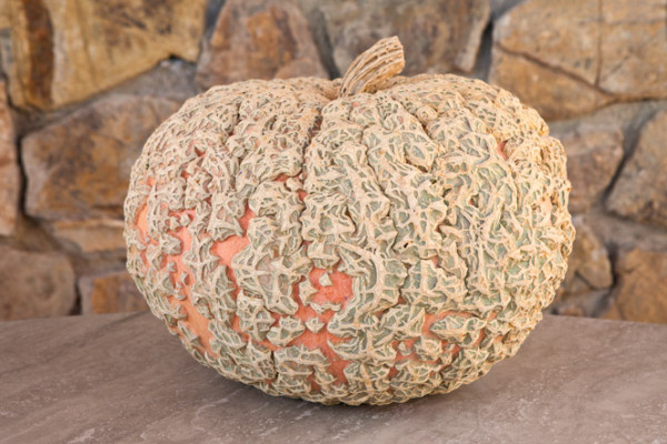 21zucca_gallosa_eysines_agriturismo_poggio_diavolino