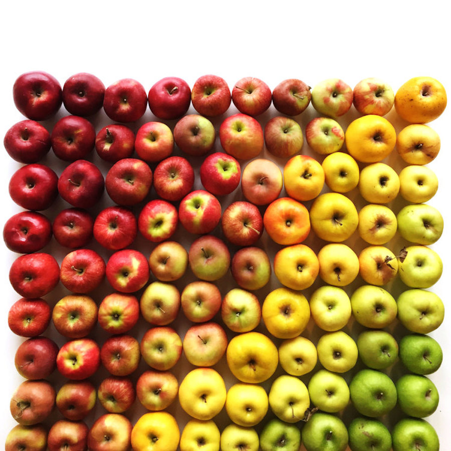Brittany-Wright-Food-Gradients11