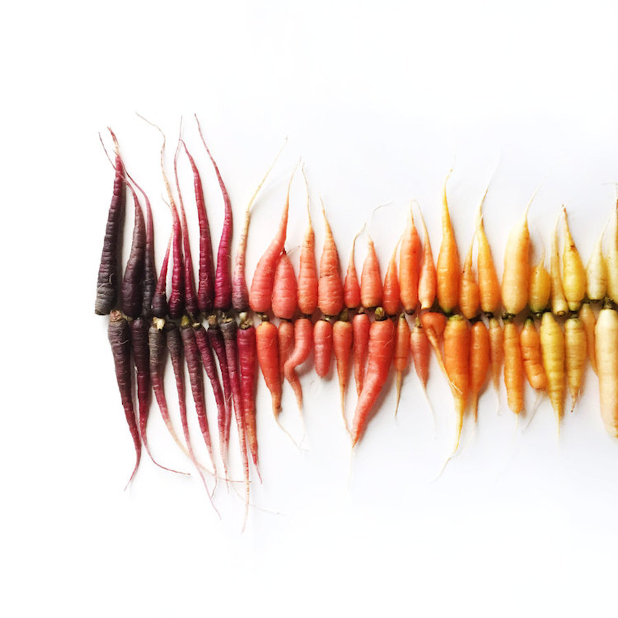 Brittany-Wright-Food-Gradients12
