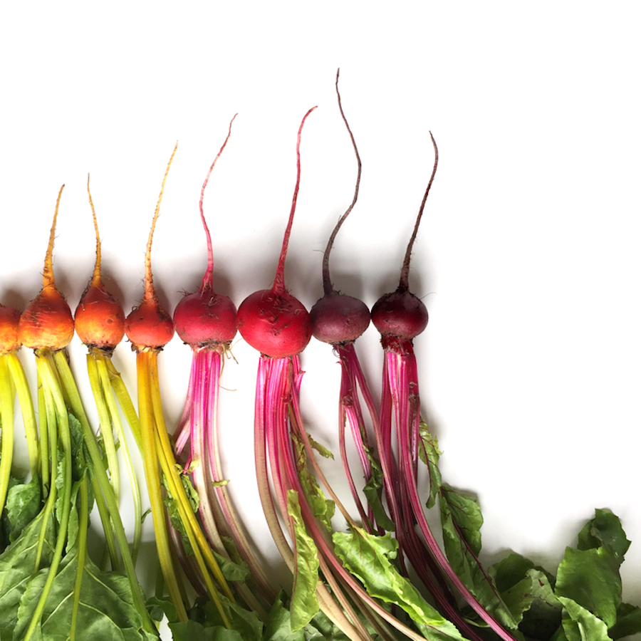 Brittany-Wright-Food-Gradients5