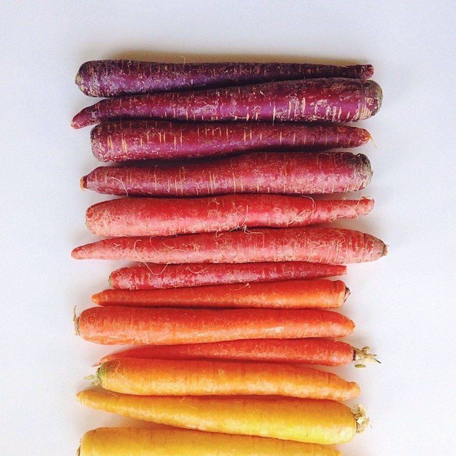Carrot-Gradient-wrightkitchen.com_