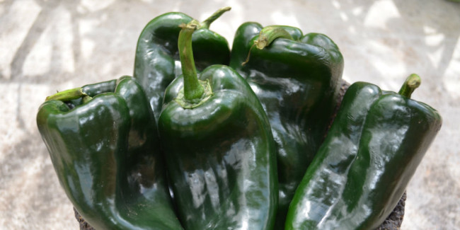 poblanos