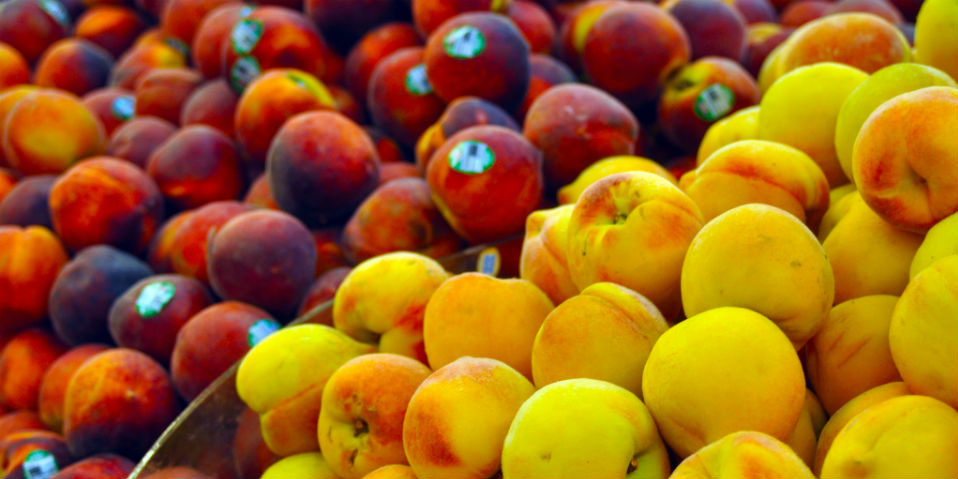guardar frutas verduras