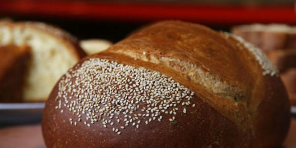 recetas para cocinar con pulque