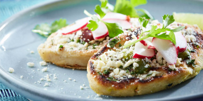 tlacoyo fiesta mexicana