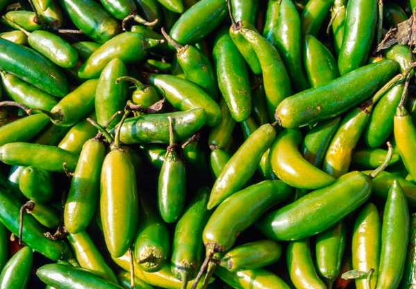 chile serrano
