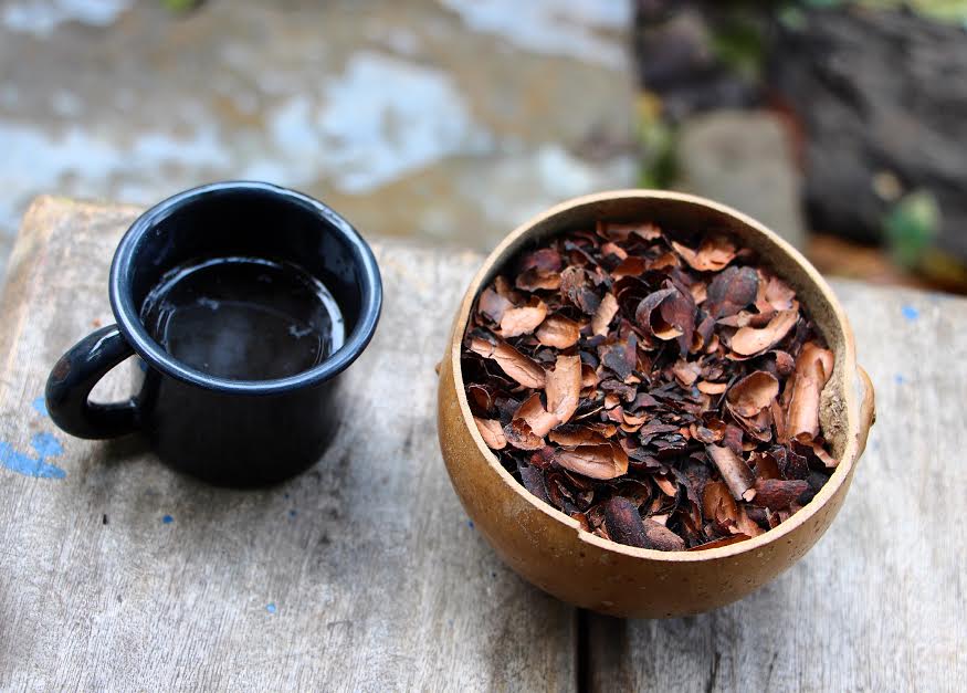 infusion de cacao