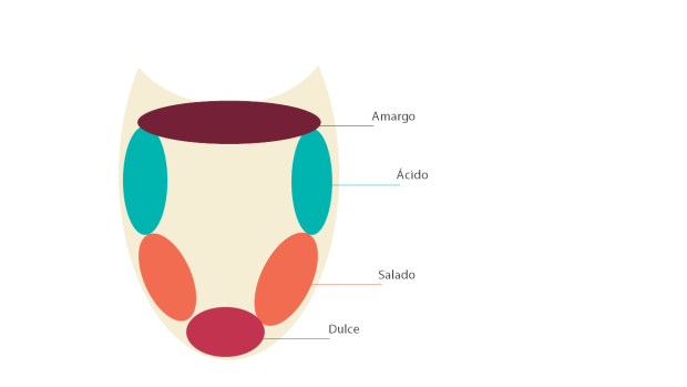 lengua_vino