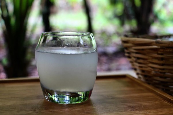 mucílago