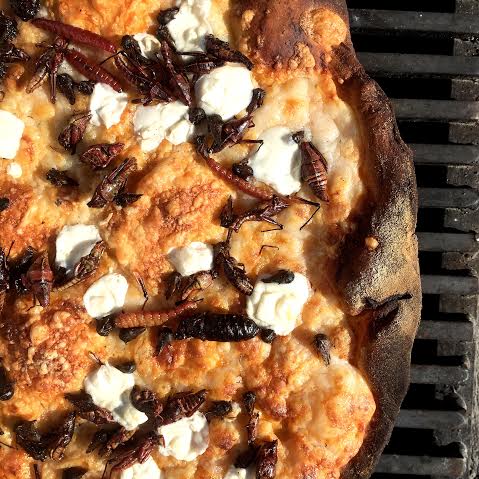 pizza_insectos2