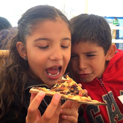 pizza_insectos4