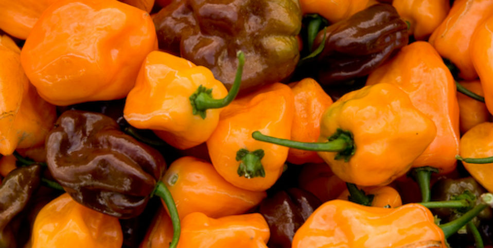 salsa yucateca de habanero