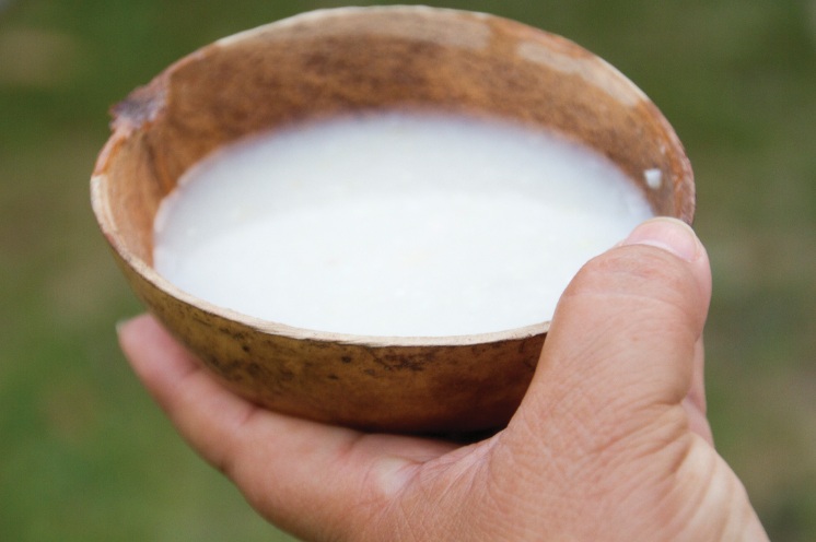 fermentados recetas para cocinar con pulque