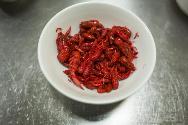 insectos mexicanos comer gusanos