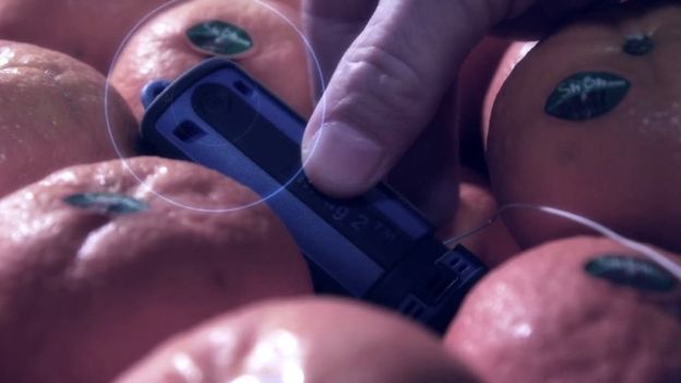 Los dispositivos Xsense miden la temperatura y humedad relativa de alimentos perecederos. // Foto: BT9