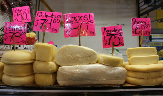 quesos chihuahua