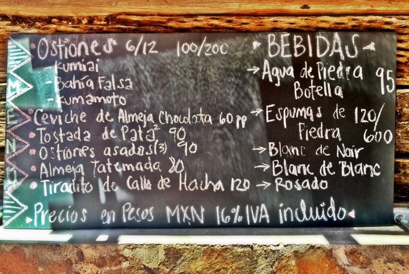 conchas_piedra