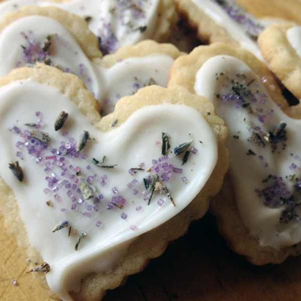 Galletas de lavanda cubiertas de chocolate blanco, flores de lavanda y azúcar de Kim's Kitchen.