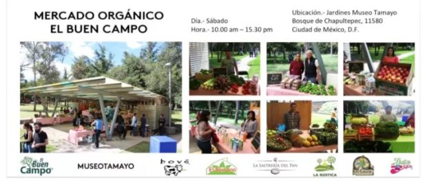 mercado organico