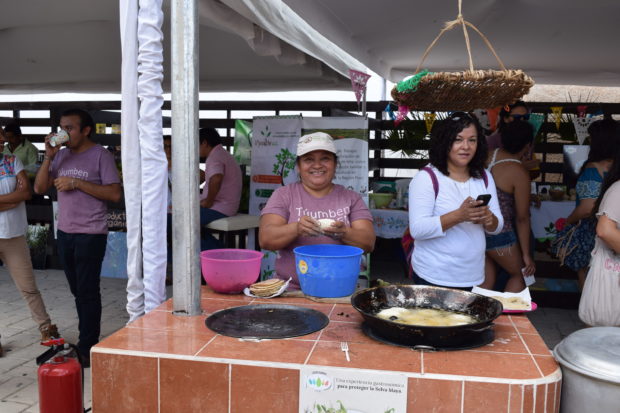 Estufa ahorradora de leña Tuumben Kooben