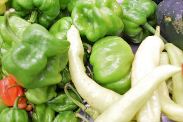 Chiles dulces y chiles xcatic.
