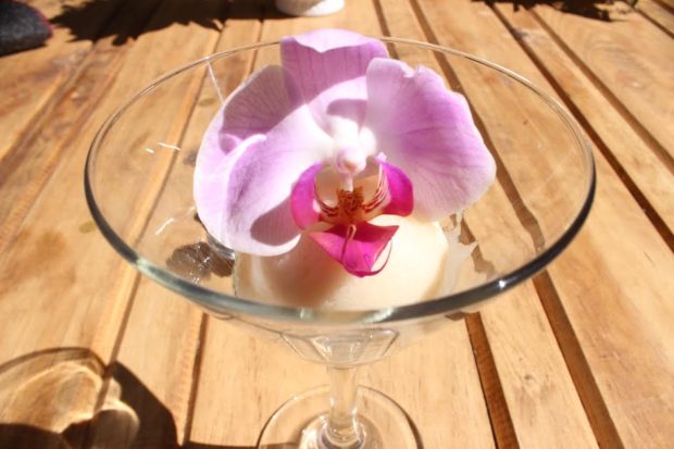 Cremoso de lichis y tequila crystal, una combinación fresca y una orquídea como firma personal, ya que es conocida como la chef de las flores. //Foto: Fernanda Muñoz.
