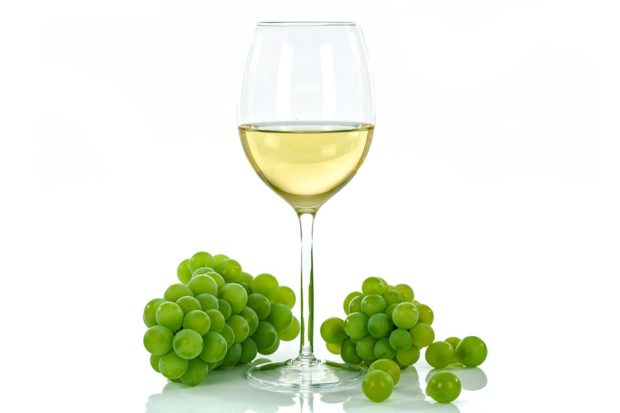 vino 4