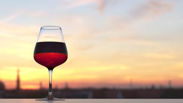 vino 5