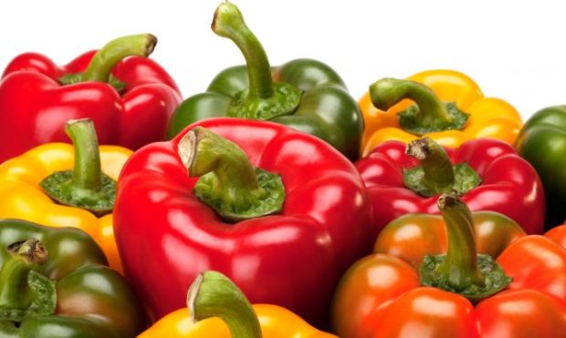 cocinar pollo 5 recetas saludables y deliciosas con pimientos