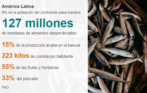 Estadísticas de América Latina