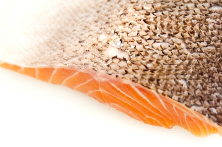 como cocinar salmon