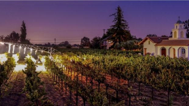 Viñedos Ceja creció hasta ocupar más de 40 hectáreas y produce casi 10.000 cajas de botellas de vino al año.