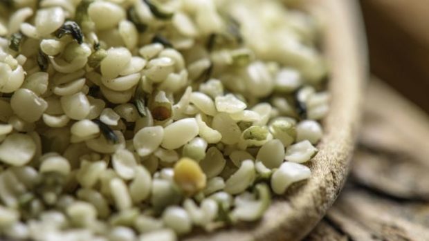 Las semillas del cáñamo se utilizan en productos de alimentación.