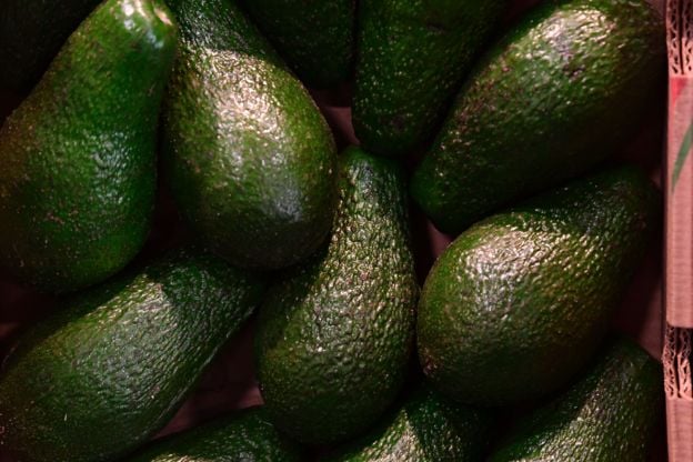 TOBIAS SCHWARZ. Estados Unidos prohibió la importación de aguacates durante más de 80 años.