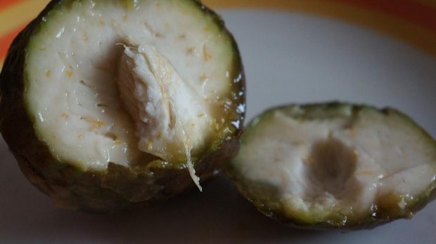 Zapote blanco.