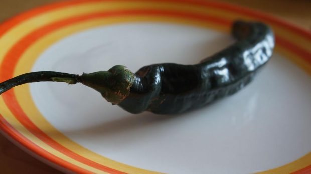 Chilaca.