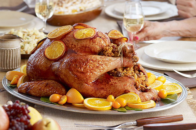 pavo navideño